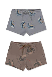Aster swim pants 23SS / コンゲススロイド スイムパンツ 水着 ベビーキッズ くじら 恐竜